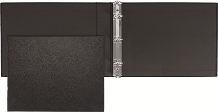 Home Accountant Check  Cover 56601